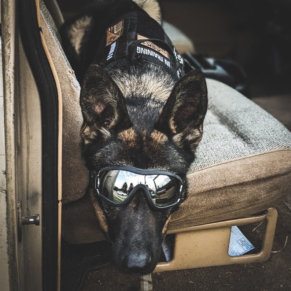 Daniel- Brief Introduction - Picture 2 of 3